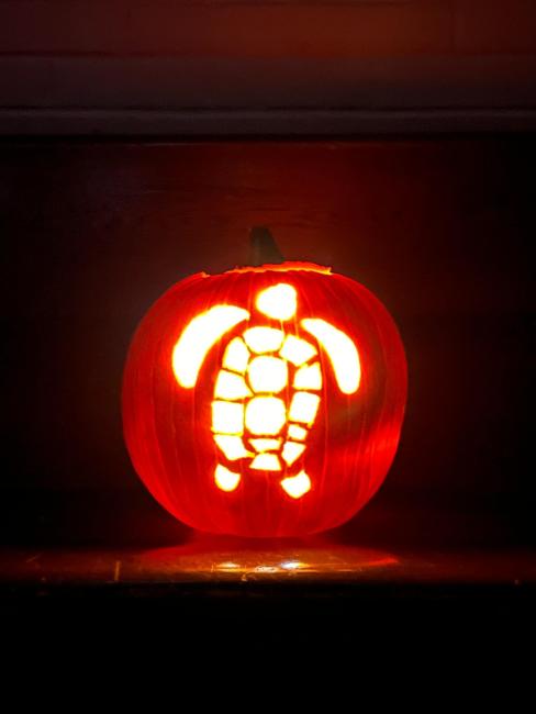 2024 pumpkin carving (11)